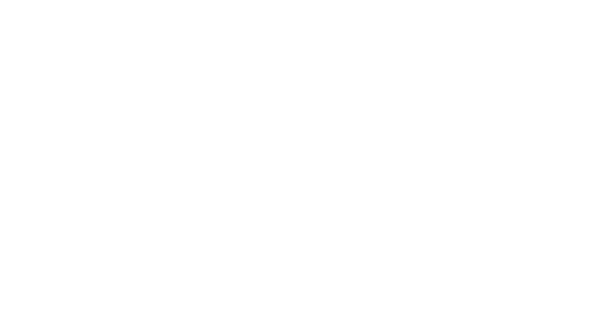 RAPtronic